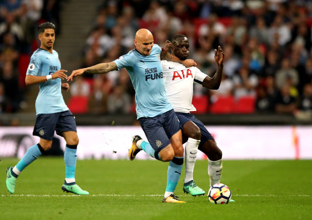 引进新星 引进新星